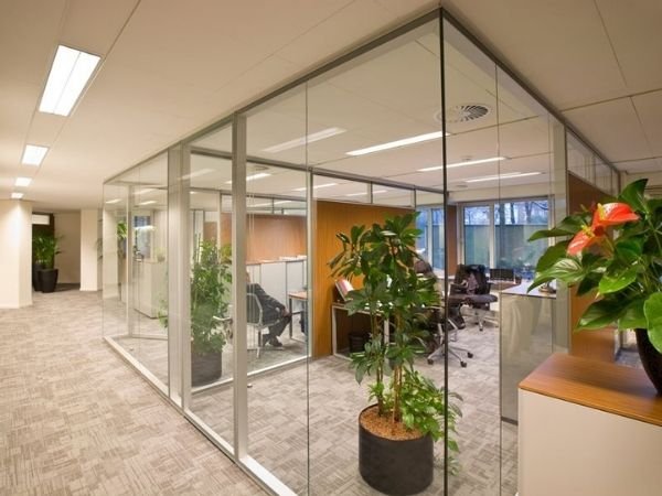 Película de Proteção tipo Insulfilm em Guapimirim